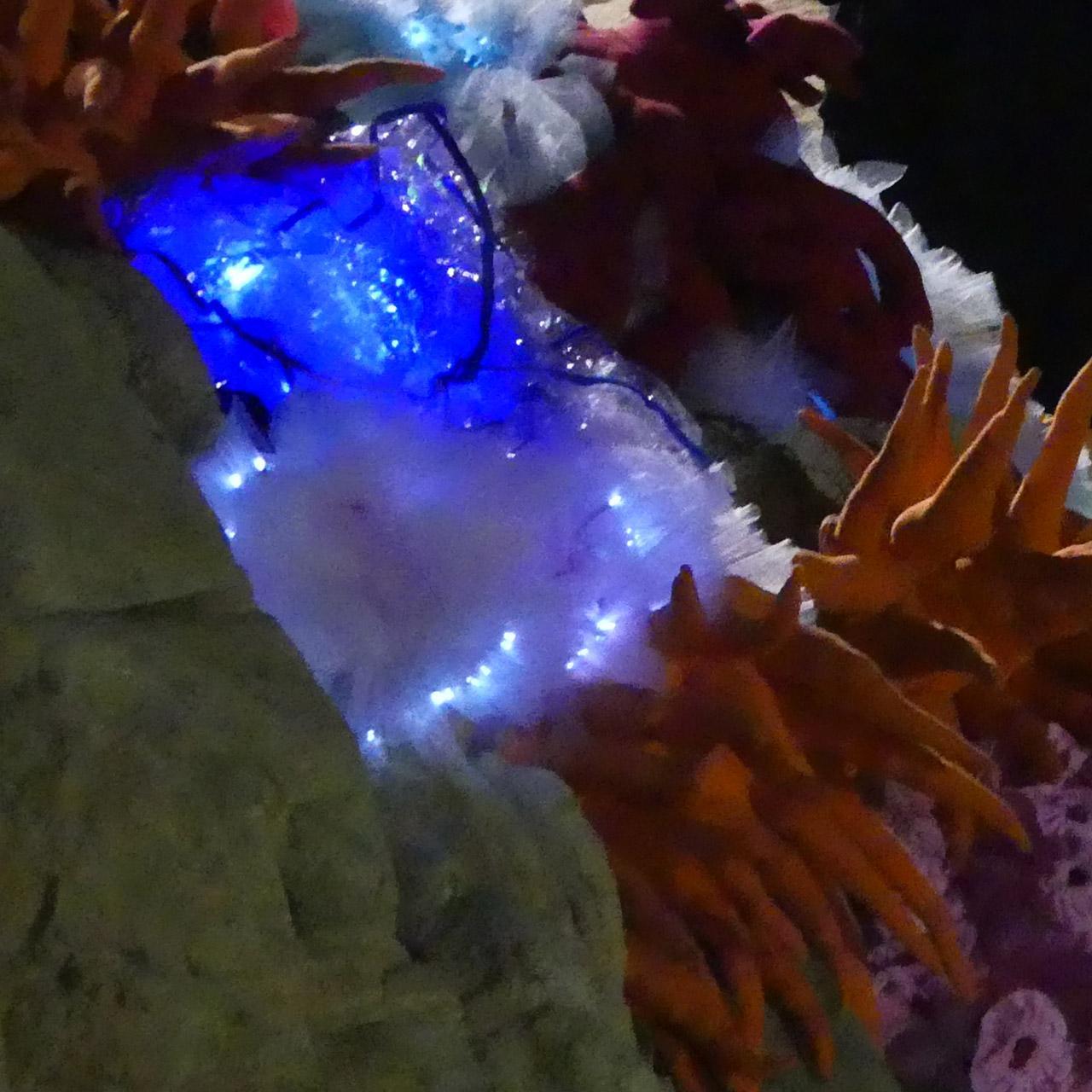 #ericagrayartist #2017strandephemera #strandephemera #strandephemeratownsville #sculptureartist #sculpture #3dartist #sculpturedart #sculptural #contemporary #sculpturedesign #contemporaryartist #coralart #sealife #seacreatures