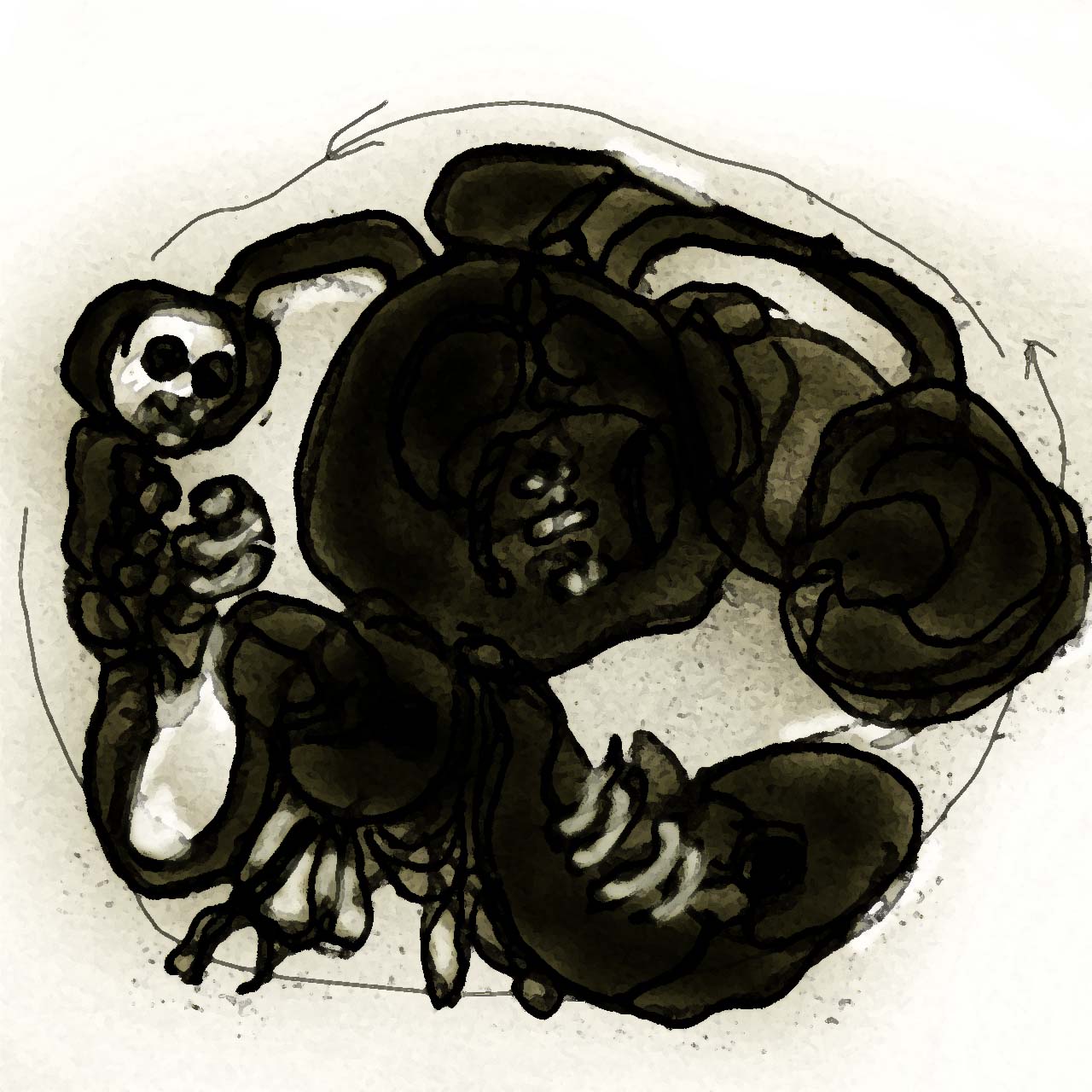 #ericagrayartist #tamworthtextiletriennial #tamworthtextiletriennial2015 #sculptureartist #sculpture #3dartist #sculpturedart #sculptural #contemporary #sculpturedesign #contemporaryartist