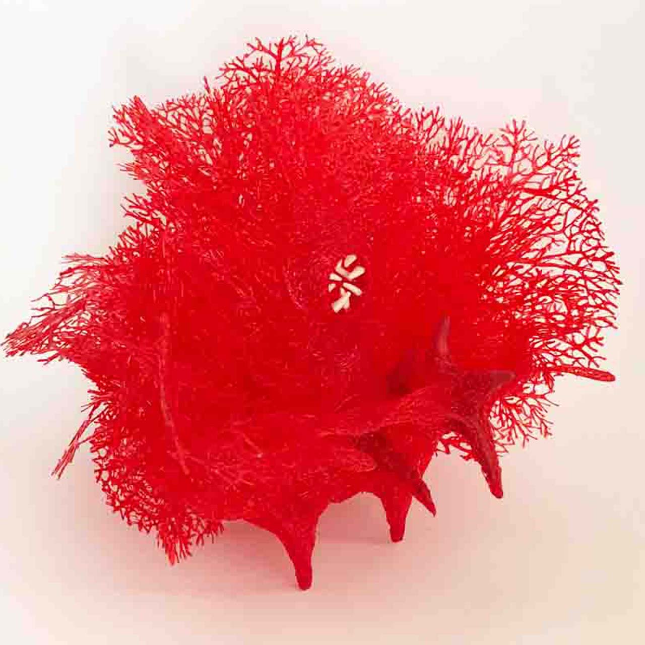 #ericagrayartist #ANTHEAPOLSONART #exhibition