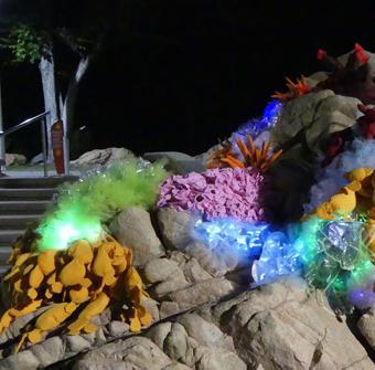 #ericagrayartist #2017strandephemera #strandephemera #strandephemeratownsville #sculptureartist #sculpture #3dartist #sculpturedart #sculptural #contemporary #sculpturedesign #contemporaryartist #coralart #sealife #seacreatures